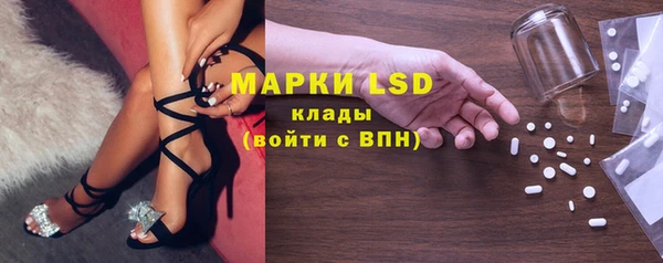 гашик Богданович