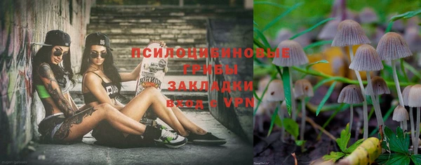 гашик Богданович