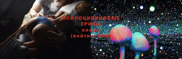 прущий лед Бронницы