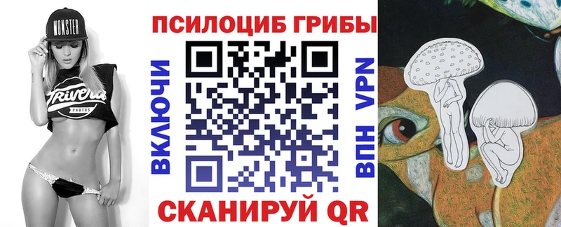 Купить где  Моршанск  Псилоцибиновые грибы GOLDEN TEACHER 